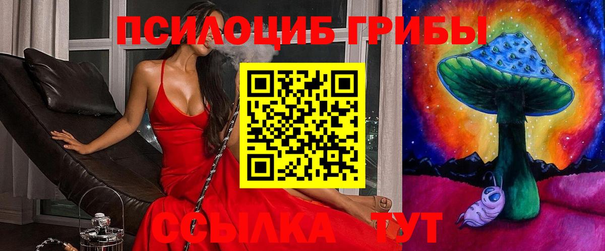 Псилоцибиновые грибы GOLDEN TEACHER  Галлюциногенные грибы прущие грибы  Видное  Вход с VPN 